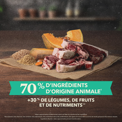 null - Product thumbnail 3.0